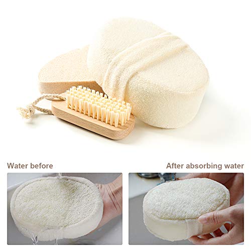 TAECOOOL exfoliante para espalda de lufa exfoliante, 2 paquetes 100% natural esponja de ducha exfoliante corporal para hombres/mujeres baño spa y ducha, tamaño grueso 14,5 x 10 cm x 5 cm