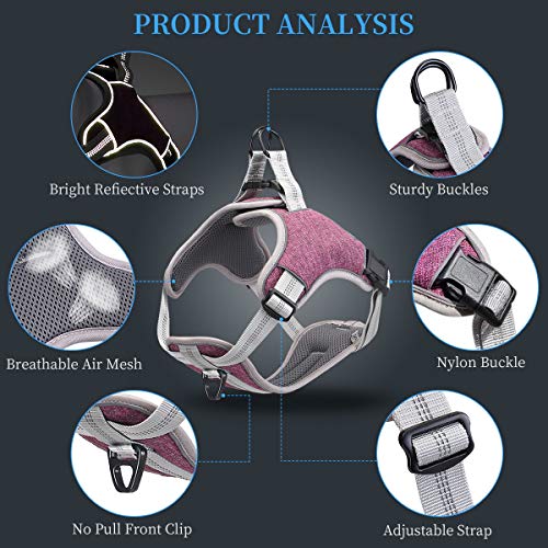 TAMOWA Arnés Perro Ajustable, Arnés Perro Grande Mediano Pequeño Cómodo Transpirable y con Lineas Reflectantes, Arnés para Perro para Caminar Entrenamiento (Morado, S)