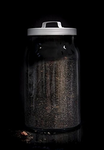 Te adelgazante a granel - 500 grs