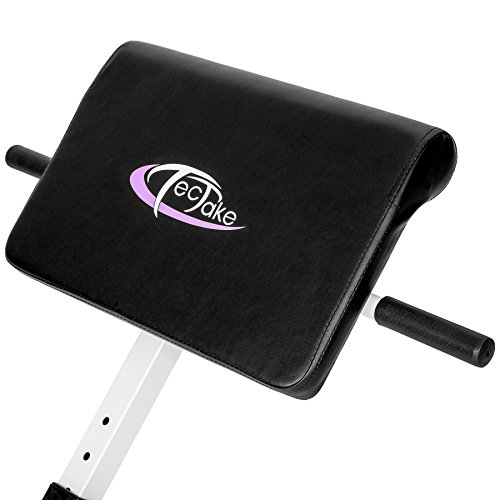 TecTake Entrenamiento de Espalda Abdominal Banco máquina Abdominales | Acolchado Ajustable en Altura en 5 Posiciones