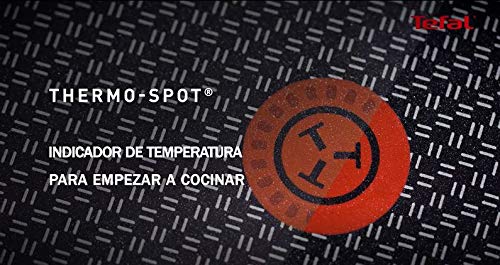Tefal Aroma - Plancha 32 x 26 cm aluminio fundido, antiadherente revestimiento de titanio, aptas para todo tipo de cocinas, base gruesa adecuada para inducción, picos vertedores y asas de apoyo