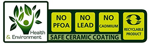 Tefal L2049002 Ingenio 5 Essential Lote de 17 Piezas Gris Antracita Todas las placas excepto inducción: 3 Ollas + 3 Sartenes + 1 Wok + 1 Sartén + 2 Asas + 7 Accesorios