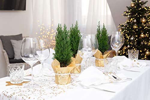 Tela decorativa brillante, 28 cm x 2,50 m, camino de mesa, decoración de Navidad, Adviento, Nochevieja dorado