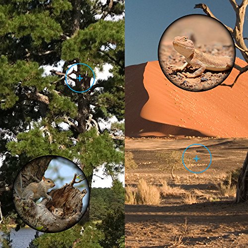 Telescopio monocular 40X60 con enfoque dual zoom óptico Telescopio impermeable a prueba de niebla con visión para día y noche de pájaros turismo caza acampada concierto y mucho más de 500 a 9500metros