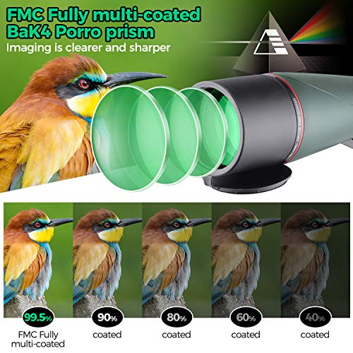 Telescopio Terrestre 20-60X80 Profesional Telescopio Monocular Impermeable Birdwatching HD con Adaptador de Teléfono y Trípode para Tiro con Arco, Safari Sightseeing, Stargazing, Camping
