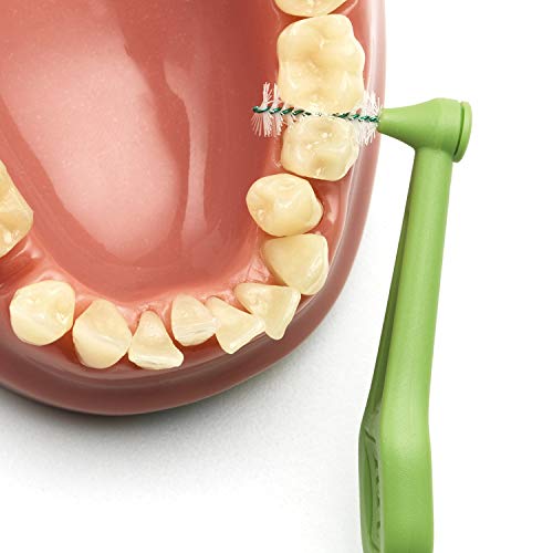 TePe Angle Cepillos interdentales angulados / Palillos interdentales / Tamaño 5, diámetro 0,8 mm / Pack de 6, color verde
