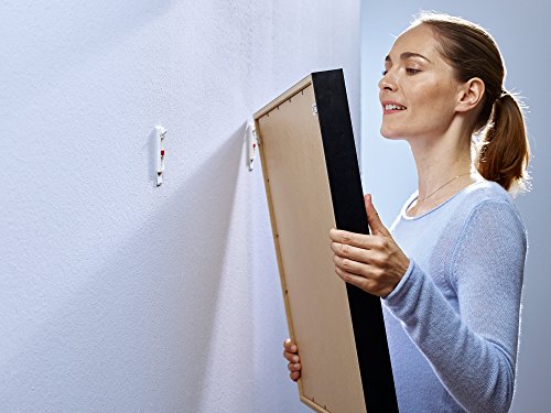 Tesa Clavo adhesivo ajustable, ideal para cuadros, para paredes pintadas y yeso (1 kg)