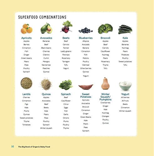 The Big Book of Organic Baby Food: Baby Purees, Finger Foods, and Toddler Meals For Every Stage: Baby Purées, Finger Foods, and Toddler Meals for Every Stage