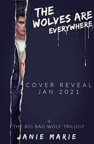 The Wolves Are Everywhere (The Big Bad Wolf Trilogy Book 3) (English Edition)