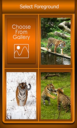 Tigre de la cremallera de la pantalla de bloqueo