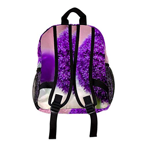 TIZORAX Pastoral de pelo largo persa gato ligero mochila escolar de viaje para niños niñas niños diseño 18 25.4x10x30 CM/10x4x12 in