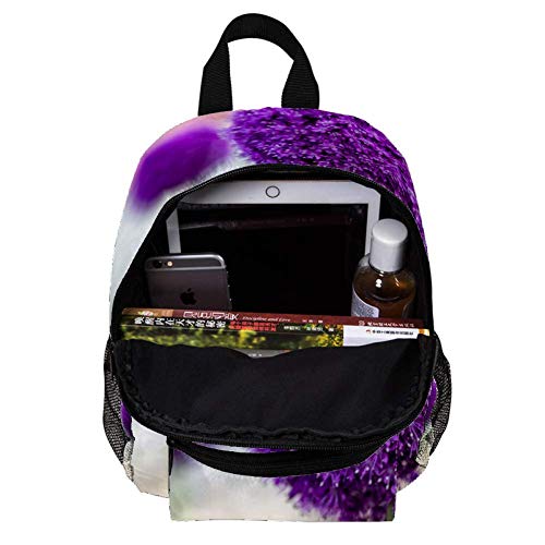 TIZORAX Pastoral de pelo largo persa gato ligero mochila escolar de viaje para niños niñas niños diseño 18 25.4x10x30 CM/10x4x12 in