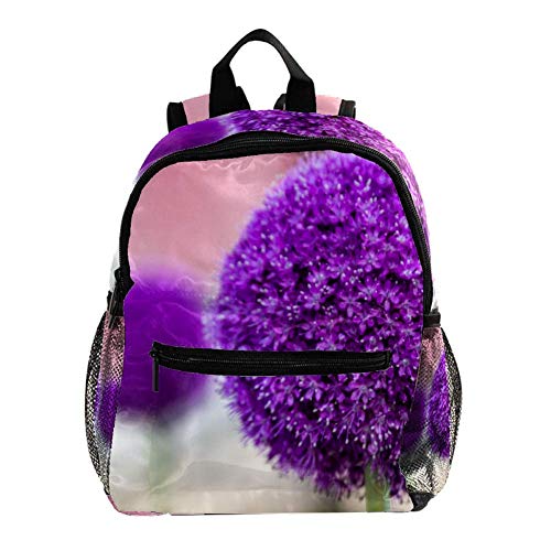 TIZORAX Pastoral de pelo largo persa gato ligero mochila escolar de viaje para niños niñas niños diseño 18 25.4x10x30 CM/10x4x12 in