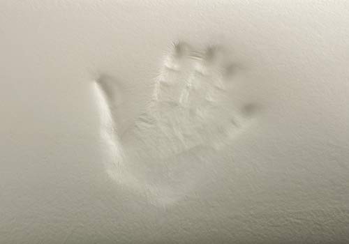 Todocama - Almohada viscoelástica, núcleo Compacto. Doble Funda con Cremallera. Tejido Aloe Vera Plus. Termorregulable adaptabilidad al Cuello. (70 cm)