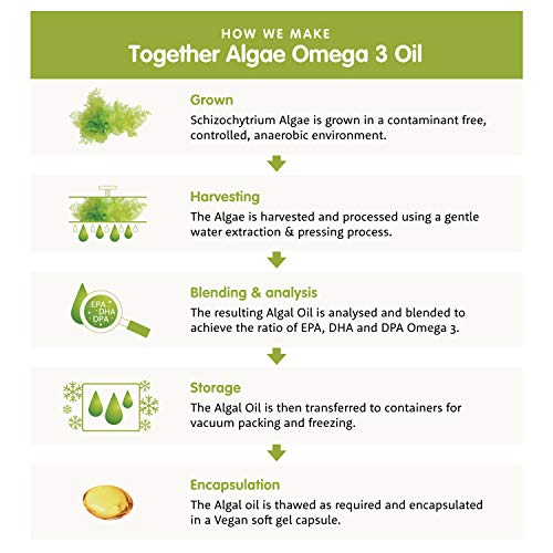 Together Omega 3 DHA de Algas - 30 Cápsulas