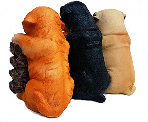 Tolle Ideen Shop Cartel de Bienvenida para Perros Cachorros Figura Decorativa Entrada Welcome