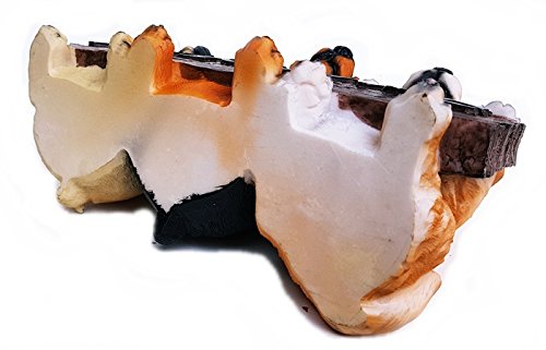 Tolle Ideen Shop Cartel de Bienvenida para Perros Cachorros Figura Decorativa Entrada Welcome