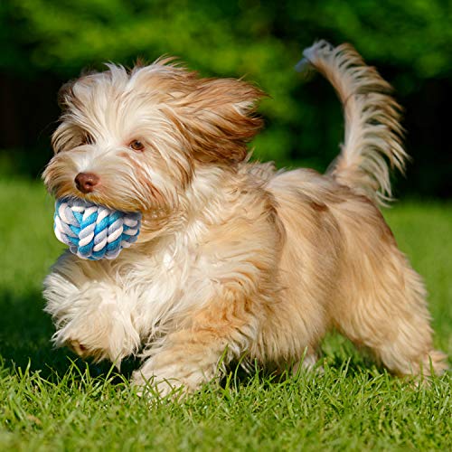 Toozey Juguetes para Perros Juguete Perro - 12 Piezas de Juguetes duraderos para Perros Juguetes para Perros pequeños interactivos - Mordedor Perro y Perros Accesorios - algodón Natural