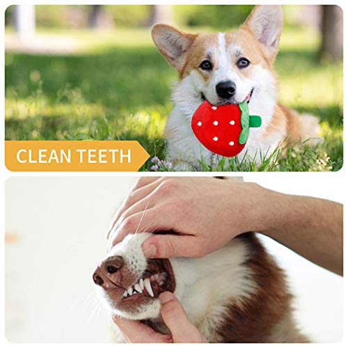 Toozey Juguetes para Perros Juguete Perro - 12 Piezas de Juguetes duraderos para Perros Juguetes para Perros pequeños interactivos - Mordedor Perro y Perros Accesorios - algodón Natural