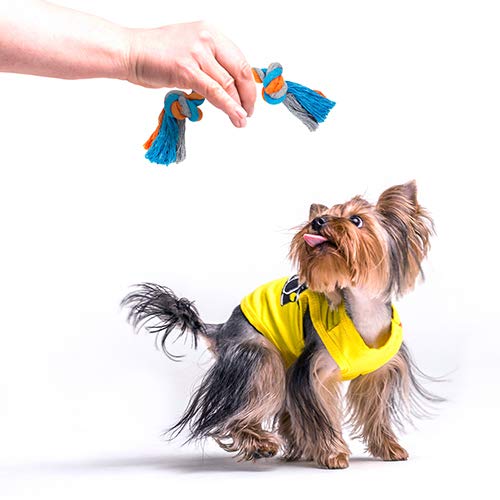 Toozey Juguetes para Perros Pequeños Juguete Cachorros- 7 Piezas de Juguetes para Perros para Cachorros/Perros pequeños - Juguete masticable y chirriante Interactivos - algodón natural