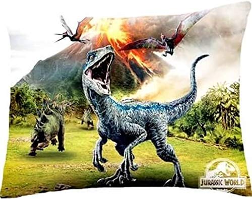 Top Brands - Juego de Funda nórdica, edredón de Jurassic World Mundo Jurásico Dinosaurio T-Rex, para Cama de 140x200cm, 100% algodón, Ropa de Cama