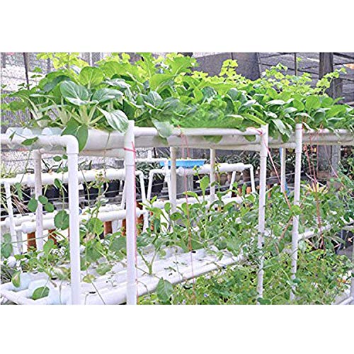 TOPQSC Kit de Cultivo Hidropónico 36 Sitios 4 Tubos Equipo de Plantación Hidropónica Cultivo Sin Suelo Aguas Profundas Sistema de Cultivo Hidropónico Para el Kit de Cultivo de Jardín de Balcón de Casa