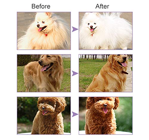 Toulifly Champú para Mascotas, Champú para Cachorros, Champú Antipulgas para Perros, Calma e hidrata la Piel y el Pelaje Secos, Alivia Las alergias, Seca e hidrata la Piel con picazón