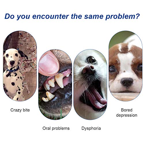 Toulifly Juguetes para Perros Chewers agresivos, Juguetes para Masticar Perros, Juguetes para Perros chirriantes,Juguetes para Perros,para Limpieza de Dientes de Perro