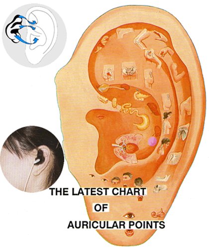 Tratamiento automático de doble en el hogar Medicomat-10 Mejor Dispositivo del Mundo Salud Electro Acupuntura Terapia Ear acupuntura auricular para el estrés electroacupuntura Aparatos Alternativa Terapeuta Chino De La Oreja Cara Mano Foot SPA cuerpo para