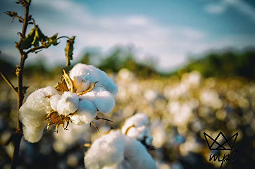Trenca Niño Azul Marino con Capucha. Trenca Niño Paño Tejido Sarga. Chaqueta Cazadora Parka Invierno Niño Abrigo Entretiempo Chaqueta tipo Aviador Estilo Bomber Casual para Lluvia Uso Diario o Colegio