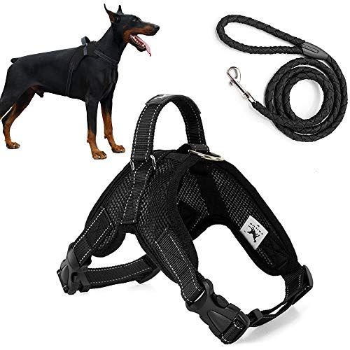 Trongle - Chaleco para Perro con asa de fácil Control, cómodo y Transpirable, Correa Ajustable para el Pecho para Perros de Gran tamaño con Correa de Nailon
