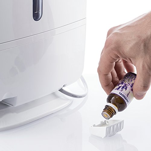 TROTEC Humidificador ultrasónico B 6 E, 3 en 1: Humidificador, Difusor aromático y Purificador de Aire, Panel táctil, Modo Nocturno, Temporizador, Compacto, Diseño, Blanco, Oficina, Hogar