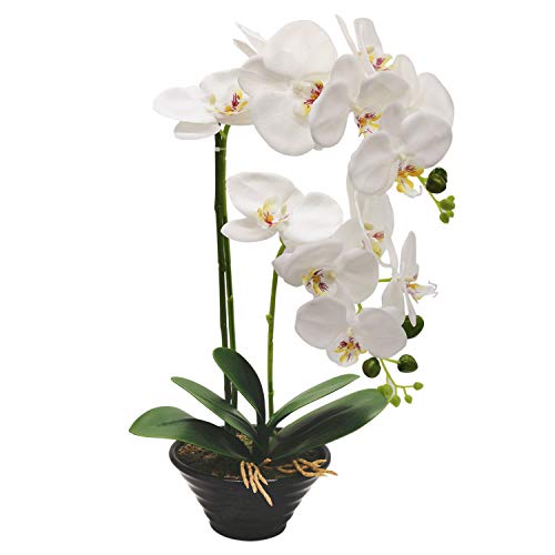 True Holiday Flores Artificiales de orquídea con jarrón de Porcelana Blanca, decoración de Centro de Bonsai Artificial, Flores de plástico, Realista y Realista