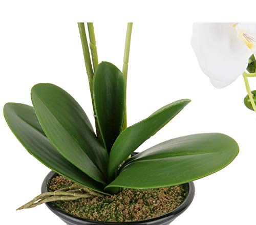 True Holiday Flores Artificiales de orquídea con jarrón de Porcelana Blanca, decoración de Centro de Bonsai Artificial, Flores de plástico, Realista y Realista