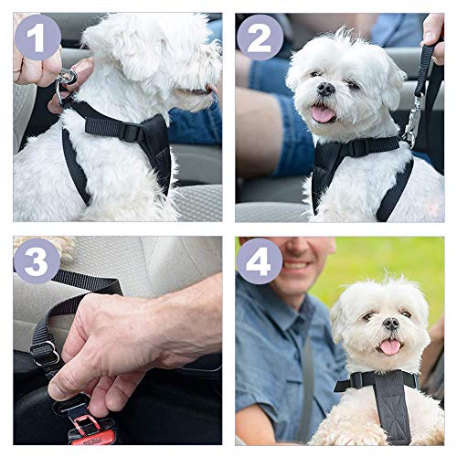 TUKNON Cinturon Perro Coche, Dog Seat Belt, Cinturon de Seguridad para Perros, Universal Dog Car Seat Belt, Longitud Ajustable, con Anti Choque Cinturon Elástico de Nylon, para Mascotas Perros Gatos