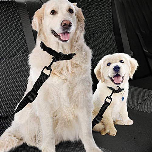 TUKNON Cinturon Perro Coche, Dog Seat Belt, Cinturon de Seguridad para Perros, Universal Dog Car Seat Belt, Longitud Ajustable, con Anti Choque Cinturon Elástico de Nylon, para Mascotas Perros Gatos