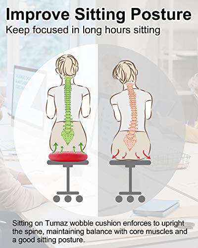 Tumaz Cojines de Equilibrio- Mejorar la Postura de Sentado y También Estabilidad Disco de Equilibrio para la Fisioterapia, Alivio del Dolor de Espalda y Fuerza Central para Todas Las Edades