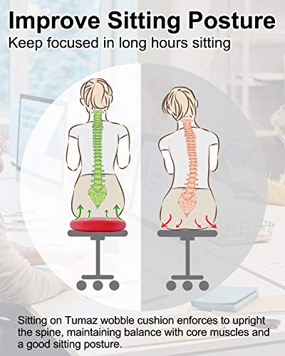Tumaz Cojines de Equilibrio- Mejorar la Postura de Sentado y También Estabilidad Disco de Equilibrio para la Fisioterapia, Alivio del Dolor de Espalda y Fuerza Central para Todas Las Edades