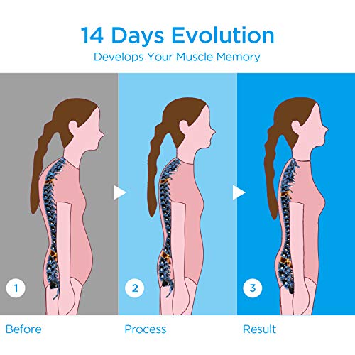 TURATA Corrector Postura Espalda y Hombros, Hombro Ajustable Profesional y Respaldo de La Médula Espinal Soporte, Prevención y Mejora de Las Jorobas, Alivia el Dolor de Espalda, Hombro (Orin L)
