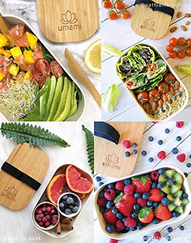 Umami - Fiambrera Eco de fibra de bambú, Bento, 100 % ecológica, apta para lavavajillas, duradera, Sana y de Diseño, Apta para adultos y niños, Marca francesa, Beige natural, L