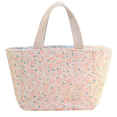 URIBAKY * Bolsa De Almuerzo IsotéRmica Nevera para Alimentos Frutas, Portador De Alimentos con Forro De PláStico Aislamiento TéRmico, Gran Refrigerador para Playa, Picnic, Camping, Barbacoa