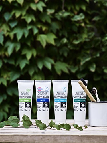 Urtekram - Dentífrico de Menta y Té Verde Bio, Sin Flúor, 75 ml