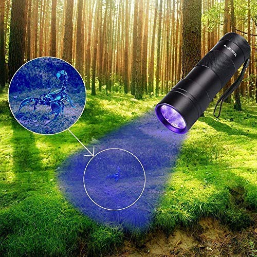 Vansky® Mascotas orina Ultra Violeta Detector perro/gato Quitamanchas fluorescente agentes sbiancanti Detector, UV Blacklight linterna eléctrica motrices, Manchas Secche sobre alfombras, cortinas y telas. 3 pilas AAA incluidas & INSERITO
