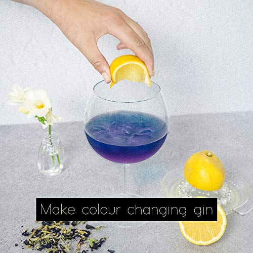 Vemacity The Ultimate - Kit para hacer ginebras, 13 botánicos para crear 10 deliciosas botellas de ginebra, incluye una cuchara, un jigger y un libro de recetas Accesorios de plata