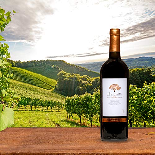 Vino tinto Crianza Rioja de la D.O.Ca. Rioja afrutado Sotonovillos pack regalo vino - 6 Botellas de 750 ml - Total: 4500 ml + Sacacorchos