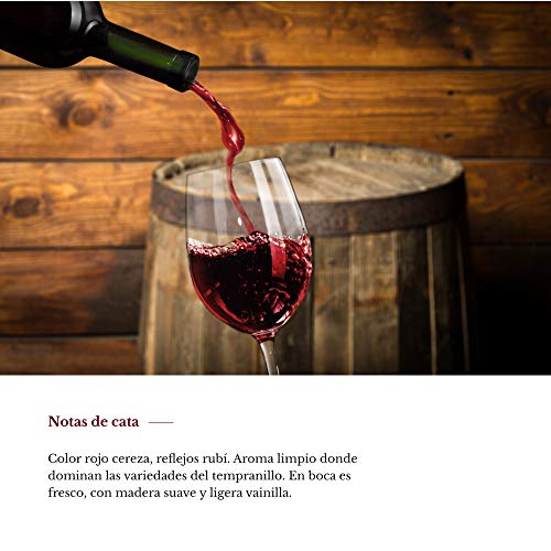 Vino tinto Crianza Rioja de la D.O.Ca. Rioja afrutado Sotonovillos pack regalo vino - 6 Botellas de 750 ml - Total: 4500 ml + Sacacorchos