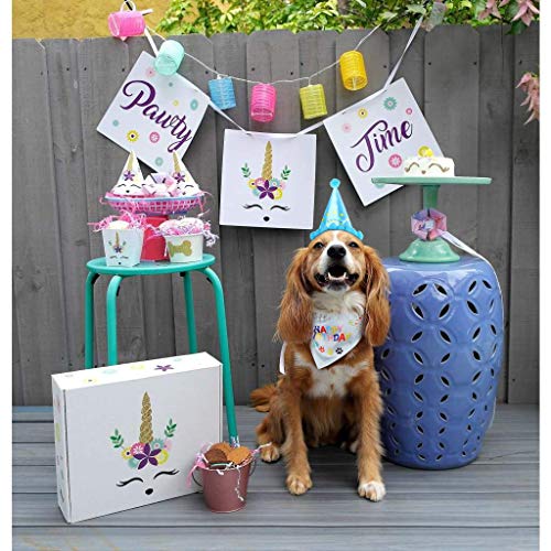 VIPITH Bandana de cumpleaños para perro, bufanda triángulo de algodón con lindo sombrero de fiesta de cumpleaños para perritos, gran disfraz de cumpleaños para perro, regalo y decoración de fiesta