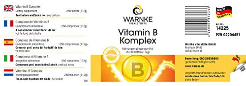 Vitamina B Complex – Vegetariano – Con todas las vitaminas B esenciales – 250 cápsulas