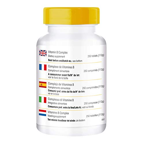 Vitamina B Complex – Vegetariano – Con todas las vitaminas B esenciales – 250 cápsulas