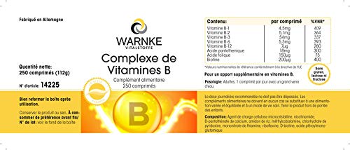 Vitamina B Complex – Vegetariano – Con todas las vitaminas B esenciales – 250 cápsulas